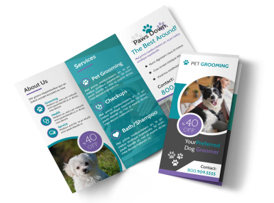 Main Clean Pet Grooming    Image