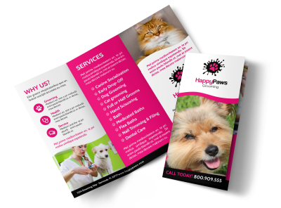 Fun Pet Grooming
