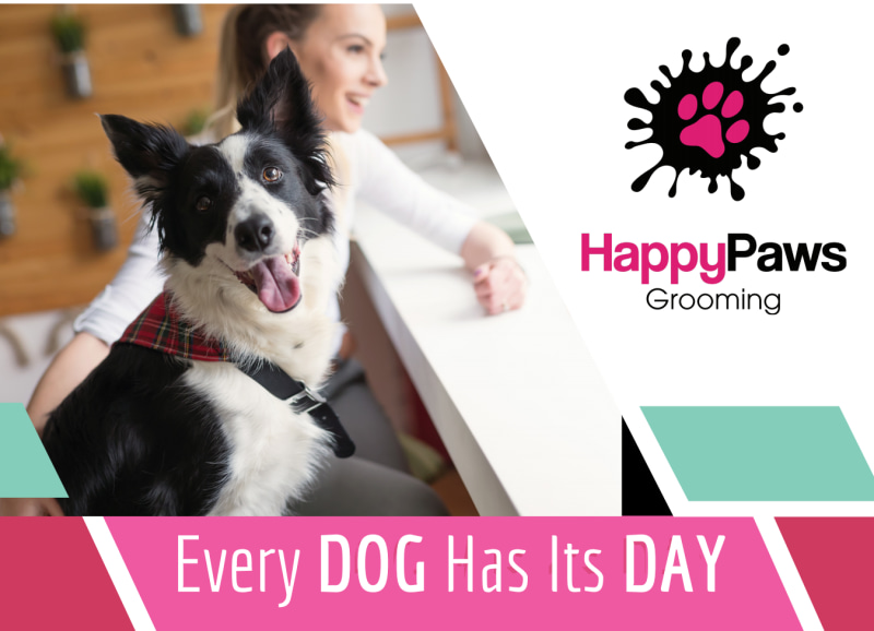 Pet Grooming EDDM Postcard Template