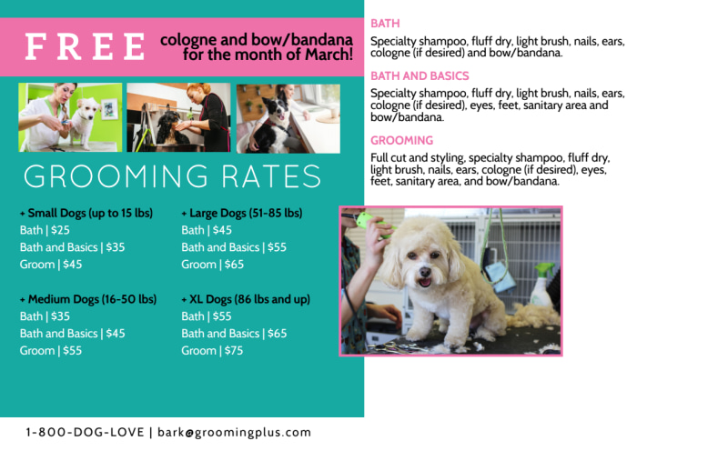 Pet Grooming Appointment Postcard Template
