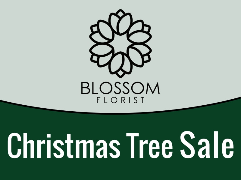 Green Christmas Tree Sale Yard Sign Template