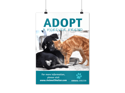 Pet Adoption