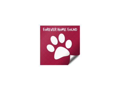 Pet Adoption Forever Home Sticker