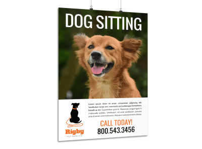 Dog Sitting Contact