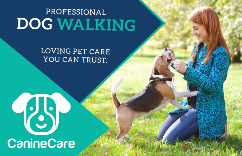 Professional Dog Walking Service Postcard Template