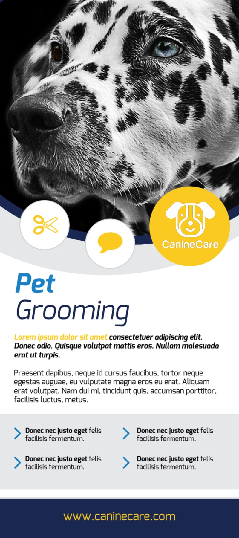 Dog Grooming Flyers Template