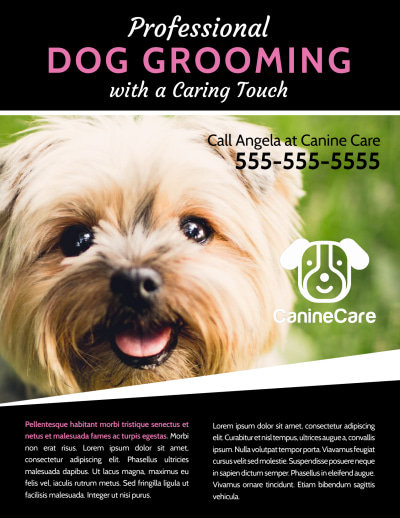 Pets Animals Flyer Templates MyCreativeShop