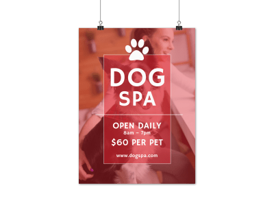 Dog Grooming Spa