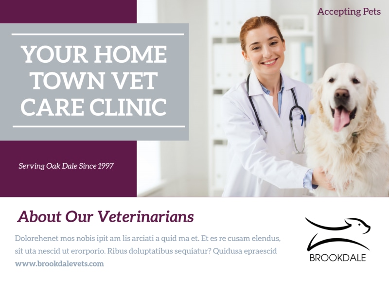 Simple Veterinary EDDM Postcard Template