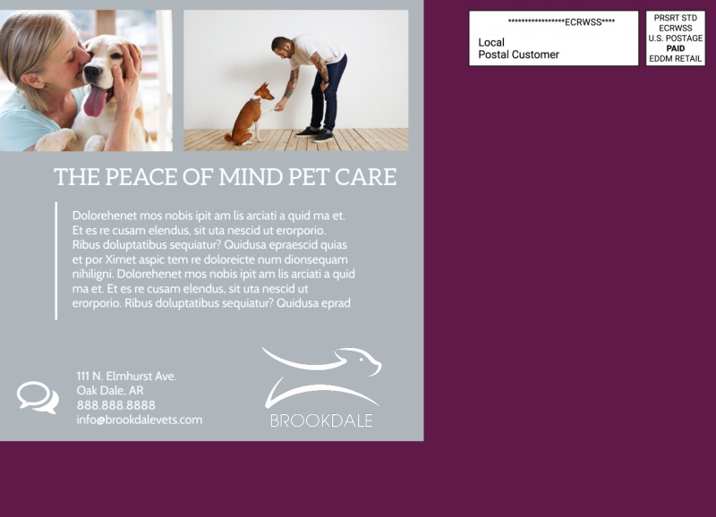 Simple Veterinary EDDM Postcard Template