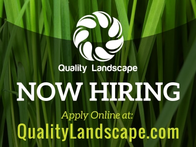 Now Hiring vmzi2swgl0