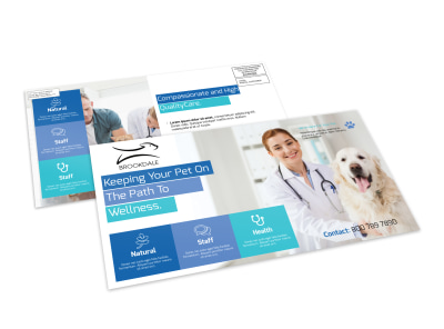 Awesome Veterinary EDDM Postcard Template preview
