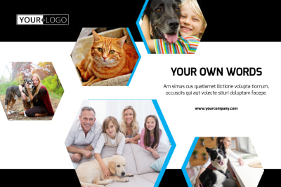 Animal Shelter & Pet Adoption Agency   Side 1 Image