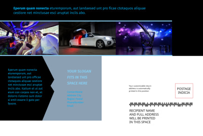 Limousine & Taxi Service   Side 2 Image