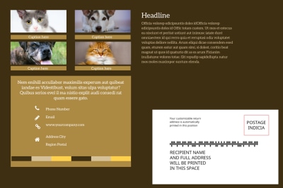 Animal Shelter & Pet Adoption   Side 2 Image