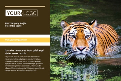 Zoo & Wild Animal Park   Side 1 Image