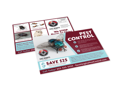 Pest Control EDDM Postcard Template ixmi3b0bvk preview