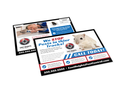 Pest Control EDDM Postcard Template acgsek0ebv preview