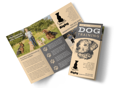 Dog Training ot85zfsaom