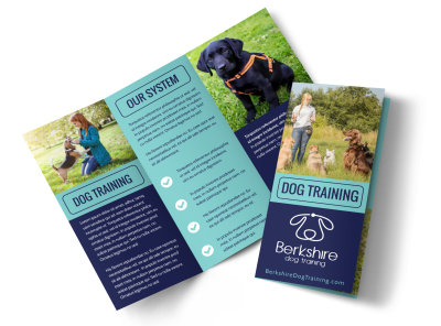 Dog Training n9bqyjfhr2