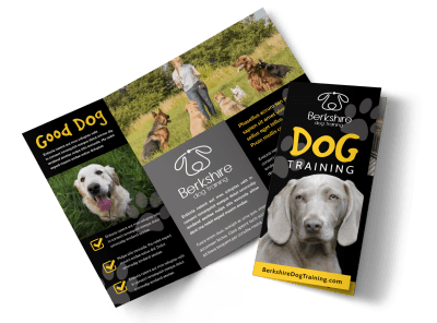 Dog Training m58d3w9hdz