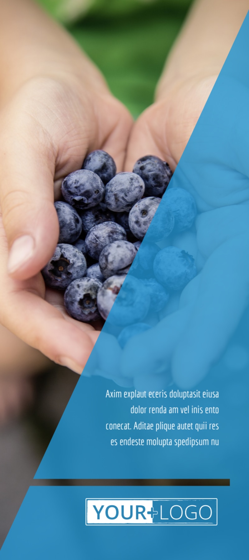 Health Nutrition Flyer Template 2