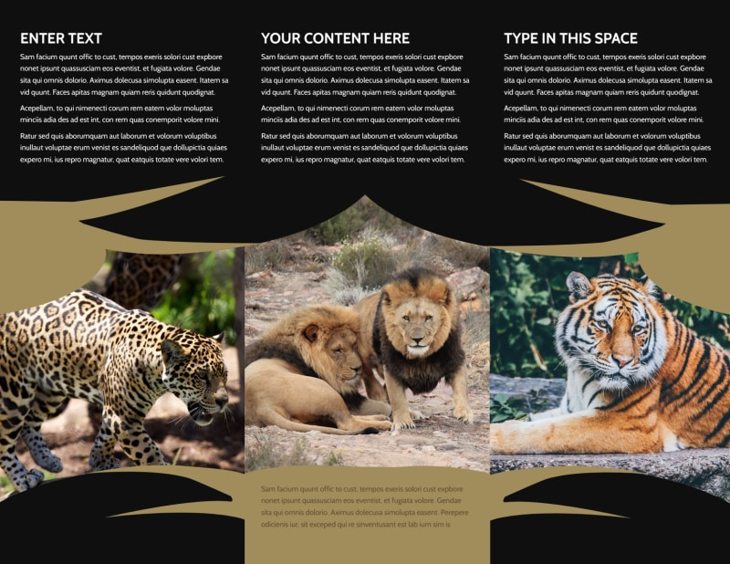 African Safari Tri-Fold Brochure Template