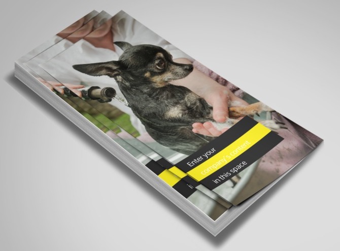 shaggy grooming shaggy pet grooming flyer template shaggy grooming shaggy pet grooming flyer template