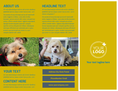 Pet Grooming Bundle