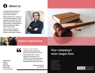 Litigation & Transactional Law Firms