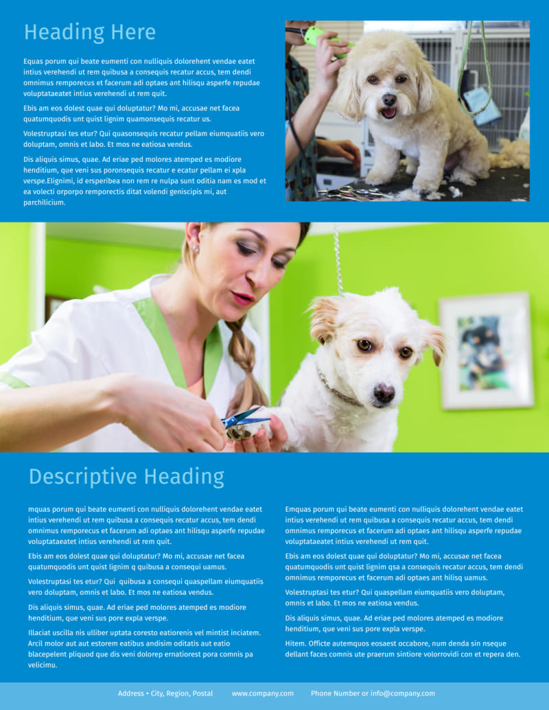 Dog Grooming Flyers Template