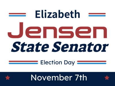 State Senator Campaign ysddp6t1uc