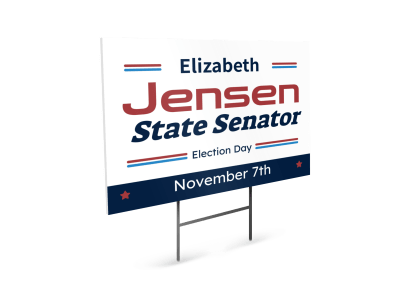 State Senator Campaign ysddp6t1uc