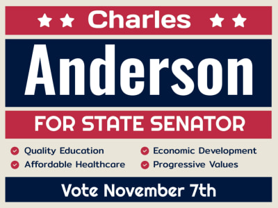 State Senator Campaign ex1c07hqql