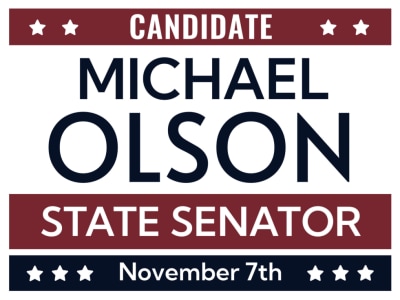 State Senator Campaign 2sfp5li93x