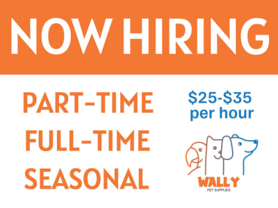 Now Hiring swytd877pr