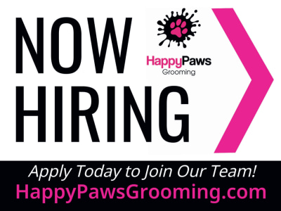 Now Hiring in0t4la9cj