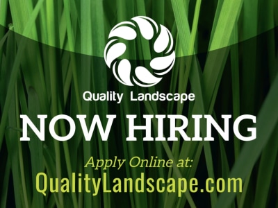 Now Hiring 3cdpwwvu92