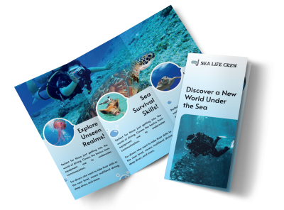 Scuba Diving Tourism yt9tvspp9q