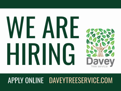 Now Hiring lqoww71fka