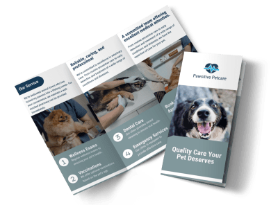 About Us Veterinarian dw68h9y0v8
