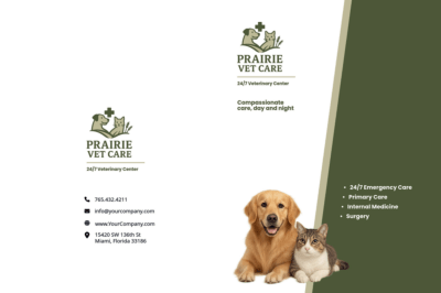 Veterinarian dvkp6jbivq