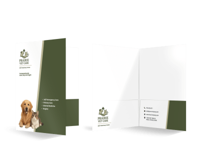 Veterinarian dvkp6jbivq