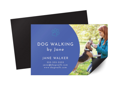 Main Dog Walking  hv838jvuhg  Image