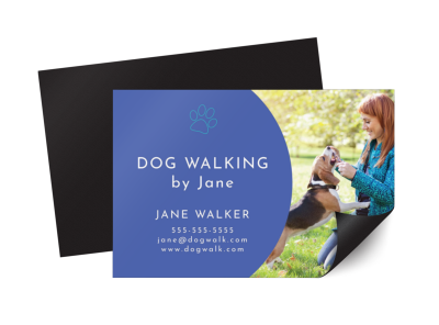 Dog Walking hv838jvuhg