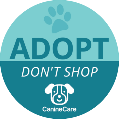 Pet Adoption xe7n0wjk7a