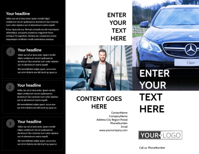 Luxury Auto Dealer