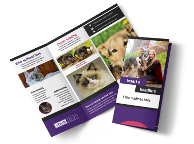 Pet Adoption