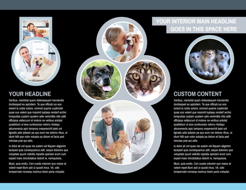 Veterinary Clinic Bi-Fold Brochure Template