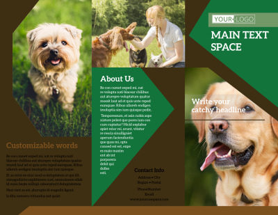 Dog Kennel & Pet Day Care